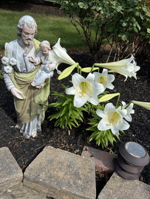 St. Joseph and Lilies Guia Jimenez.jpg